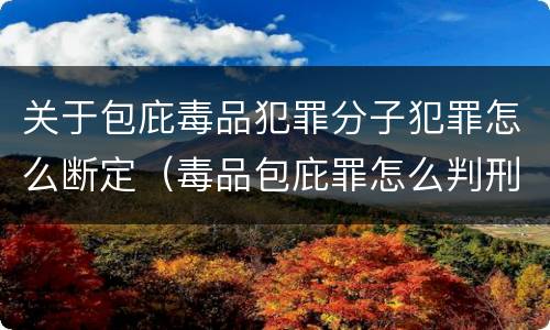 关于包庇毒品犯罪分子犯罪怎么断定（毒品包庇罪怎么判刑）
