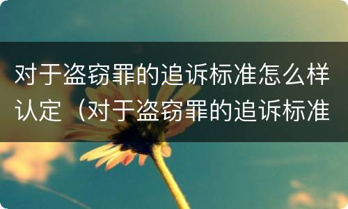 对于盗窃罪的追诉标准怎么样认定（对于盗窃罪的追诉标准怎么样认定）