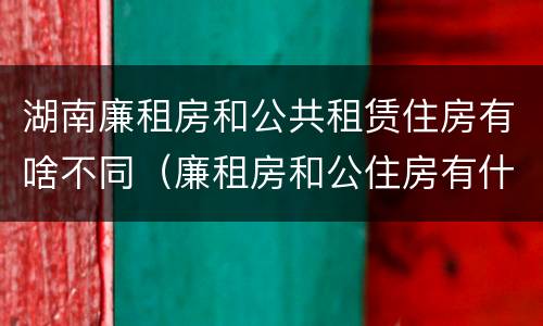湖南廉租房和公共租赁住房有啥不同（廉租房和公住房有什么区别）