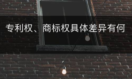 专利权、商标权具体差异有何