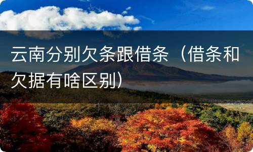 云南分别欠条跟借条（借条和欠据有啥区别）