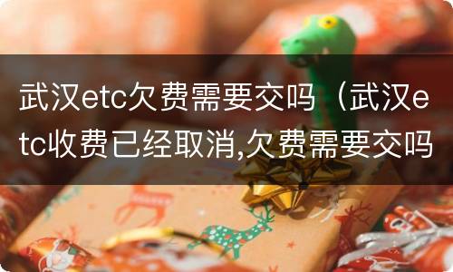 武汉etc欠费需要交吗（武汉etc收费已经取消,欠费需要交吗）