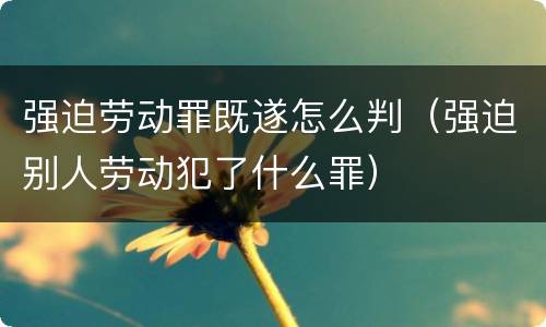 强迫劳动罪既遂怎么判（强迫别人劳动犯了什么罪）
