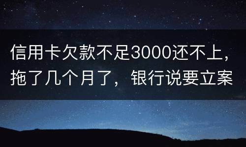 信用卡欠款不足3000还不上，拖了几个月了，银行说要立案，会坐牢吗