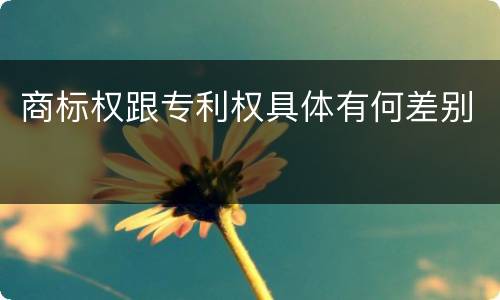 商标权跟专利权具体有何差别