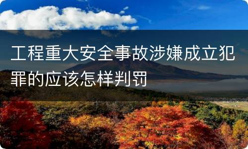 工程重大安全事故涉嫌成立犯罪的应该怎样判罚