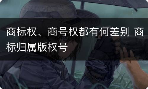 商标权、商号权都有何差别 商标归属版权号