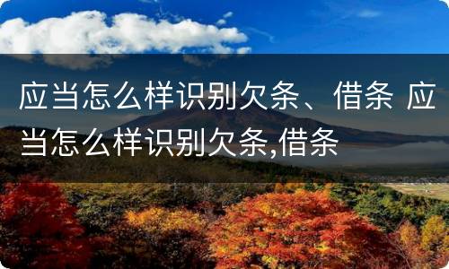 应当怎么样识别欠条、借条 应当怎么样识别欠条,借条