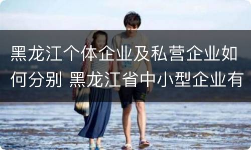 黑龙江个体企业及私营企业如何分别 黑龙江省中小型企业有哪些