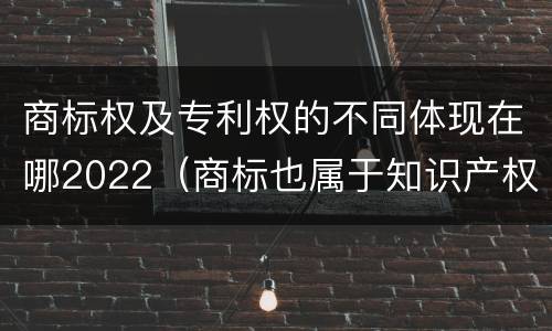 商标权及专利权的不同体现在哪2022（商标也属于知识产权）