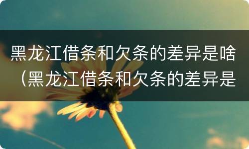黑龙江借条和欠条的差异是啥（黑龙江借条和欠条的差异是啥呀）