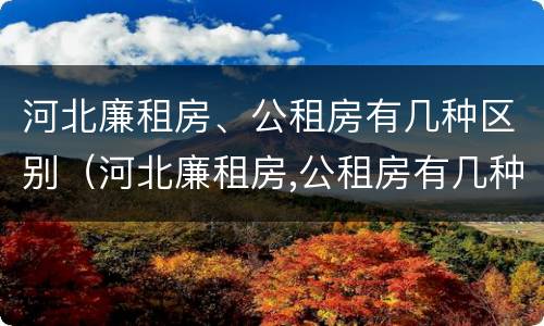 河北廉租房、公租房有几种区别（河北廉租房,公租房有几种区别吗）