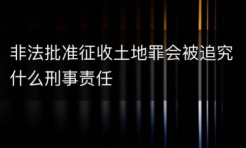 非法批准征收土地罪会被追究什么刑事责任