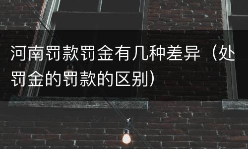 河南罚款罚金有几种差异（处罚金的罚款的区别）