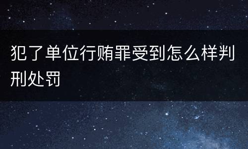 犯了单位行贿罪受到怎么样判刑处罚