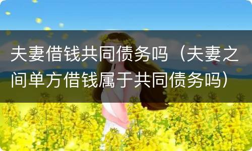 夫妻借钱共同债务吗（夫妻之间单方借钱属于共同债务吗）