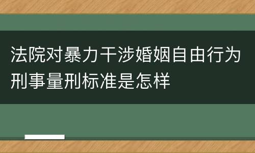 法院对暴力干涉婚姻自由行为刑事量刑标准是怎样