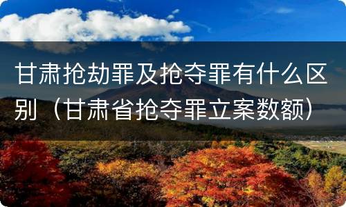 甘肃抢劫罪及抢夺罪有什么区别（甘肃省抢夺罪立案数额）