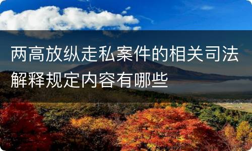 两高放纵走私案件的相关司法解释规定内容有哪些