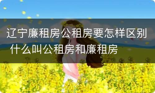 辽宁廉租房公租房要怎样区别 什么叫公租房和廉租房