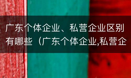 广东个体企业、私营企业区别有哪些（广东个体企业,私营企业区别有哪些企业）