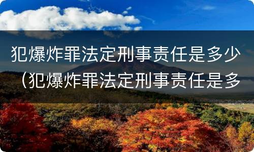 犯爆炸罪法定刑事责任是多少（犯爆炸罪法定刑事责任是多少年）