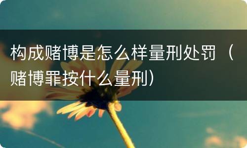 构成赌博是怎么样量刑处罚（赌博罪按什么量刑）