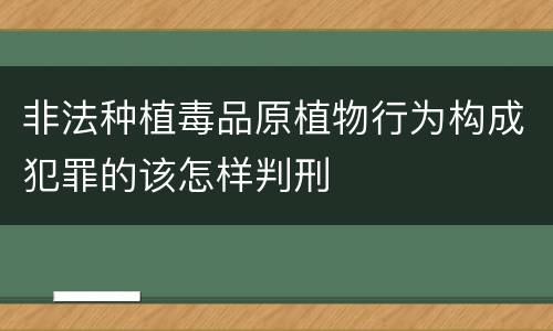 非法种植毒品原植物行为构成犯罪的该怎样判刑