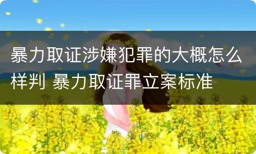 暴力取证涉嫌犯罪的大概怎么样判 暴力取证罪立案标准