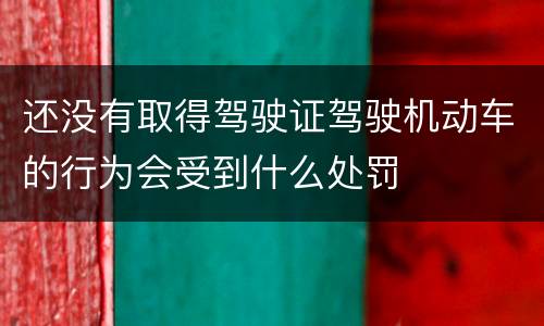 还没有取得驾驶证驾驶机动车的行为会受到什么处罚
