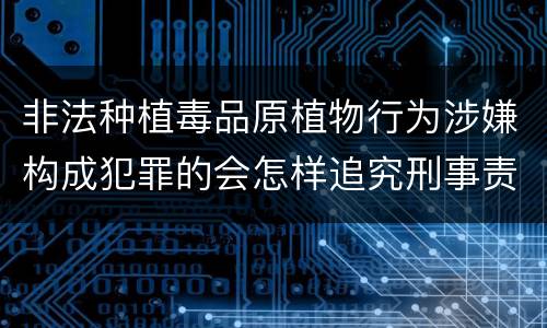 非法种植毒品原植物行为涉嫌构成犯罪的会怎样追究刑事责任