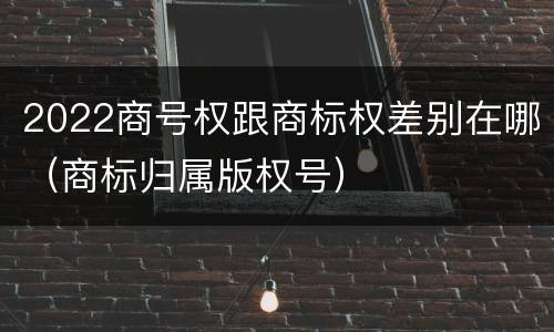 2022商号权跟商标权差别在哪（商标归属版权号）