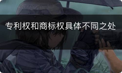 专利权和商标权具体不同之处