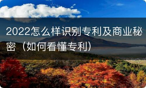 2022怎么样识别专利及商业秘密（如何看懂专利）