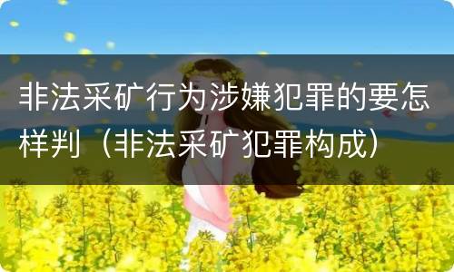 非法采矿行为涉嫌犯罪的要怎样判（非法采矿犯罪构成）