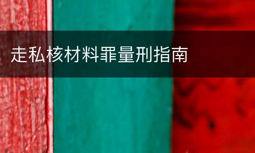 走私核材料罪量刑指南