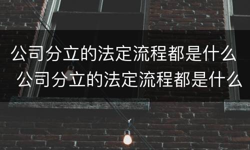 公司分立的法定流程都是什么 公司分立的法定流程都是什么流程