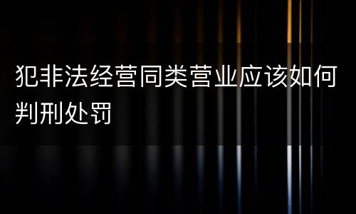 犯非法经营同类营业应该如何判刑处罚