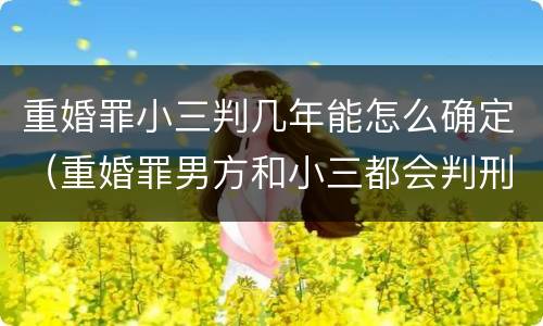 重婚罪小三判几年能怎么确定（重婚罪男方和小三都会判刑吗）