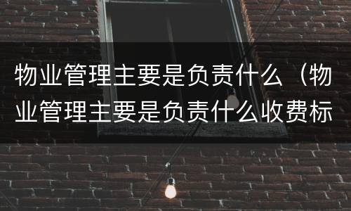 物业管理主要是负责什么（物业管理主要是负责什么收费标准）