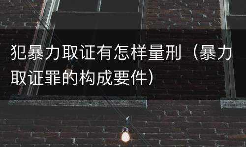 犯暴力取证有怎样量刑（暴力取证罪的构成要件）