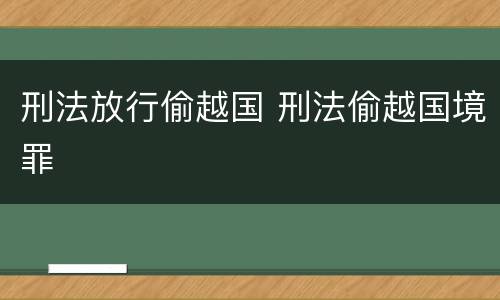 刑法放行偷越国 刑法偷越国境罪
