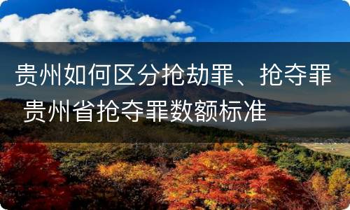 贵州如何区分抢劫罪、抢夺罪 贵州省抢夺罪数额标准