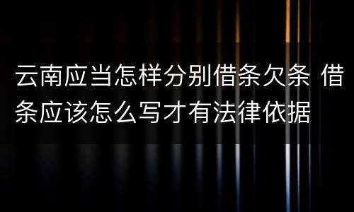 云南应当怎样分别借条欠条 借条应该怎么写才有法律依据