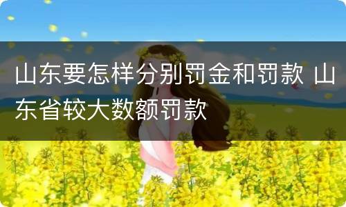 山东要怎样分别罚金和罚款 山东省较大数额罚款