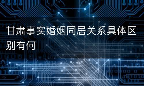 甘肃事实婚姻同居关系具体区别有何