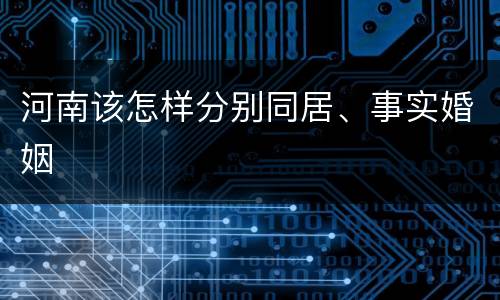 河南该怎样分别同居、事实婚姻