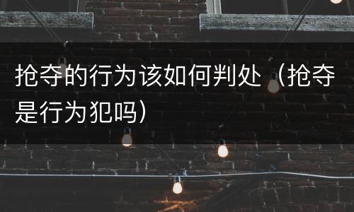 抢夺的行为该如何判处（抢夺是行为犯吗）