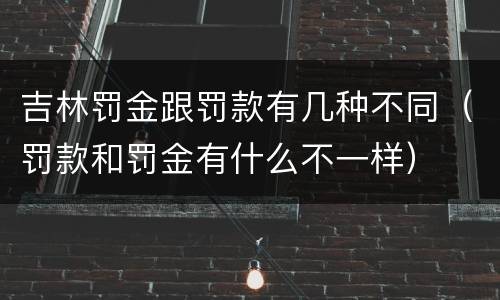 吉林罚金跟罚款有几种不同（罚款和罚金有什么不一样）