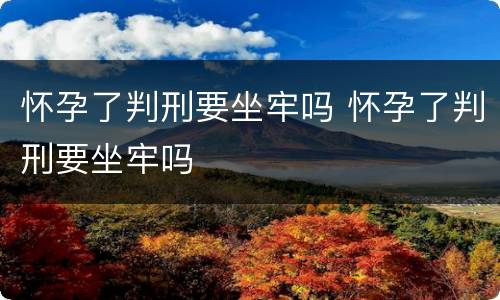 怀孕了判刑要坐牢吗 怀孕了判刑要坐牢吗